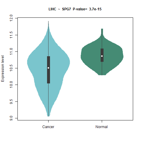 SPG7 _LIHC.png